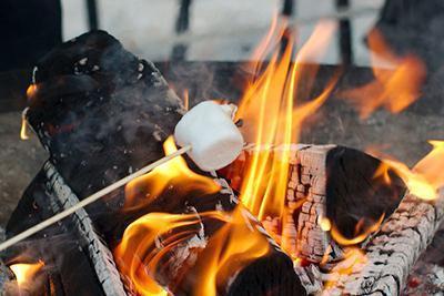 campfire roasting singgle marshmallow 400
