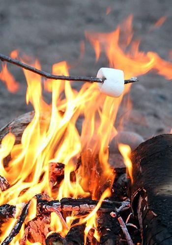 campfire roasting marshmallow 350 tall