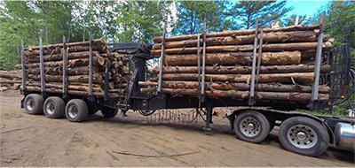logging trailer small