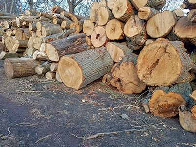 large logs not split small